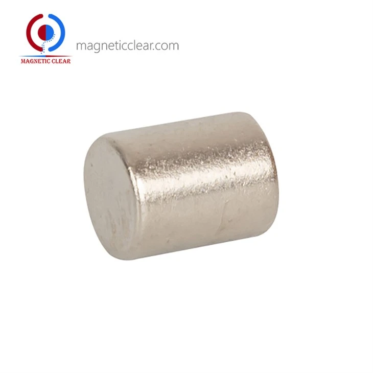Magnete al neodimio rotondo